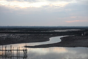 黄昏下的水域与岸边景象