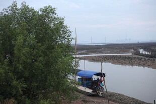 河边停泊的蓝色小船