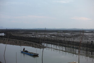 水上渔排与小船风景