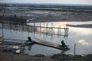水乡渔民劳作场景