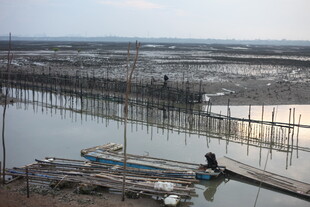 海边渔村的宁静水上景象