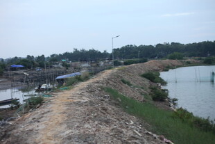 乡村河边土路风景