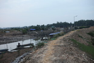 乡村泥泞小路旁的农田景象