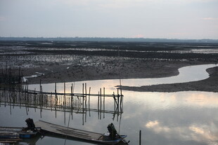 黄昏下的宁静河岸景观