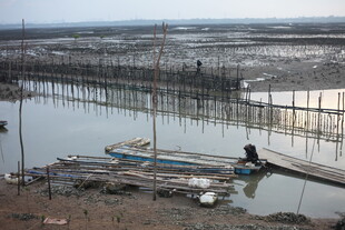 海边渔村的宁静劳作场景