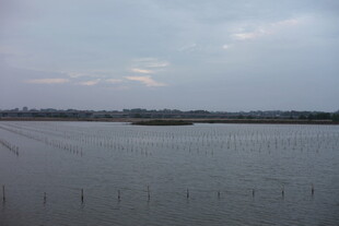 宁静水域与远方朦胧天色