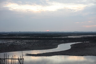 黄昏下静谧的河岸风光