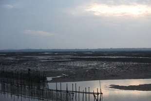 黄昏下的湿地与围栏景观