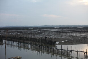 湿地景观水域与围栏景象