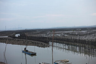 宁静水边停泊的几艘小船