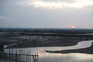 黄昏下的湿地景观