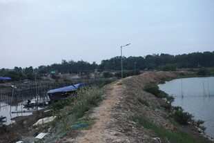 乡村水边土路及周边景象