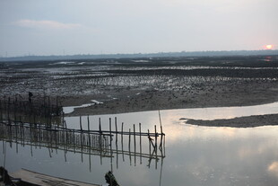 夕阳下的湿地水域景观