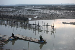 水乡木筏上的悠然时光