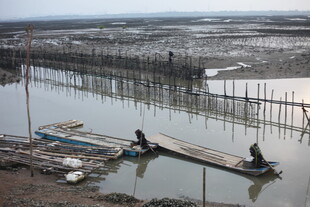 水乡渔民划船劳作场景