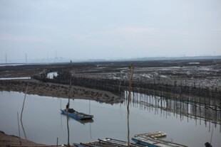 河畔船只与稀疏树木景观