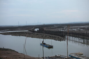 宁静水边停泊的小船景象
