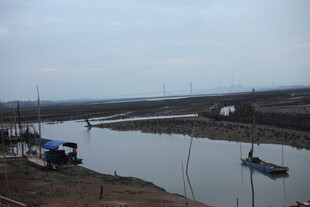 宁静河畔小船停泊景象