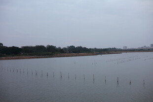 宁静水域与岸边景致