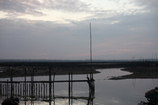 黄昏下的水边木栈道景观