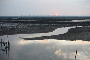 夕阳下的宁静河岸风光