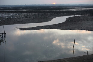 夕阳下的宁静河岸风光