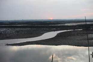 黄昏下的宁静河岸风光