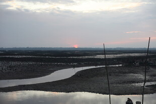 黄昏时分的河畔湿地风光
