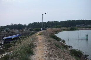 乡村水边小路与周边景致