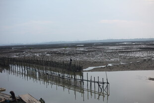 海边滩涂的简易围栏景观