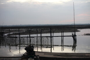 夕阳下的水边垂钓场景