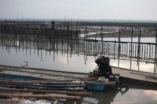 水乡渔民驾舟于养殖区