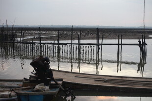 工人于盐田劳作场景