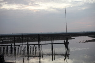 黄昏下的水边木质栈桥