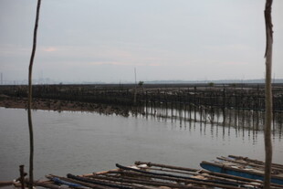 河畔停泊的多彩船只