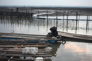 水乡码头的静谧一刻