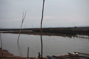 宁静水边停泊的几叶扁舟