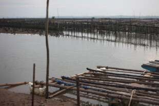 水上竹排码头景观