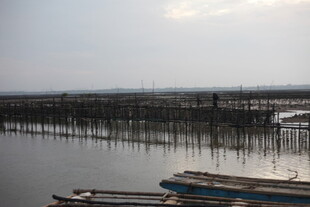 水上渔排与停泊船只