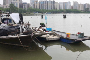 江边停泊的几艘船只