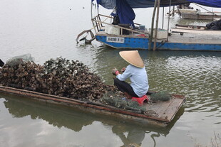 水上劳作的戴斗笠渔民