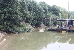 河边停泊处的自然景致