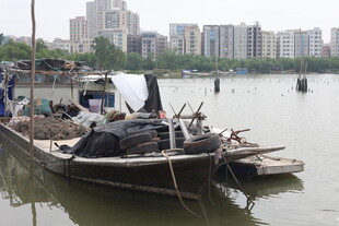 江边停泊的老旧船只