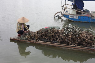 竹筏上的水产养殖场景