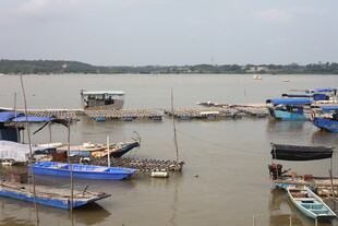 水上停泊的多彩船只