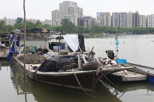 停靠岸边的破旧渔船