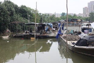 水上停泊的船只与棚屋