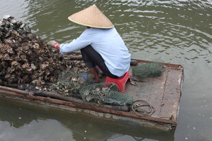 水上劳作的戴斗笠渔民