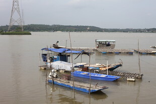 江边停泊的多彩船只