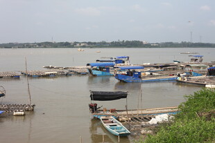 江边停泊的众多船只